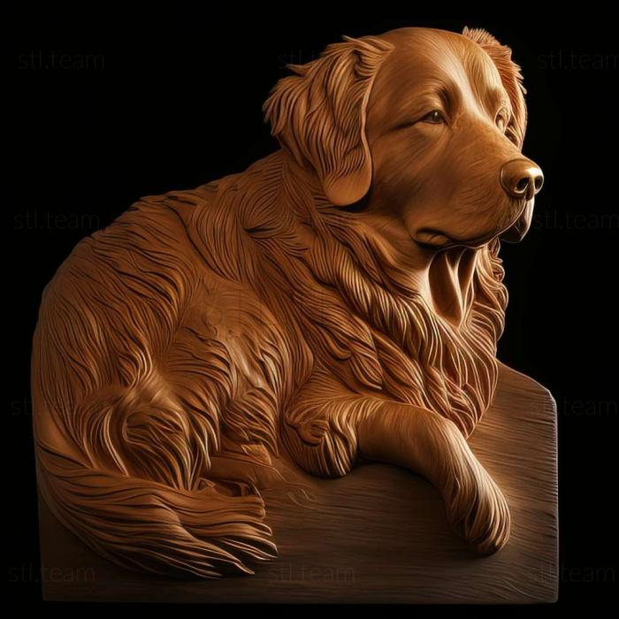 3D модель Собака породи новошотландський ретривер (STL)
